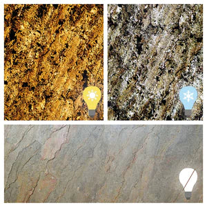Translucent Burning Forest Slate Sheet