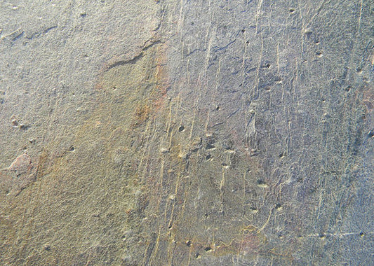 Burning Forest Slate Sheet